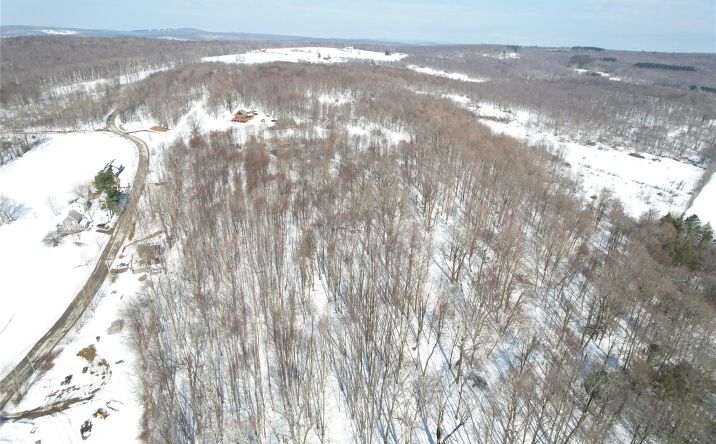 Pictures of Land property located at Tbd Stump Pond Road, Livingston Manor, NY 12758 for sales - image #1