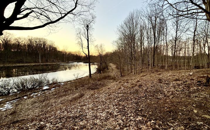 Pictures of Land, Special Purpose property located at 15326 MADRON LAKE Road, Buchanan, MI 49107 for sales - image #1