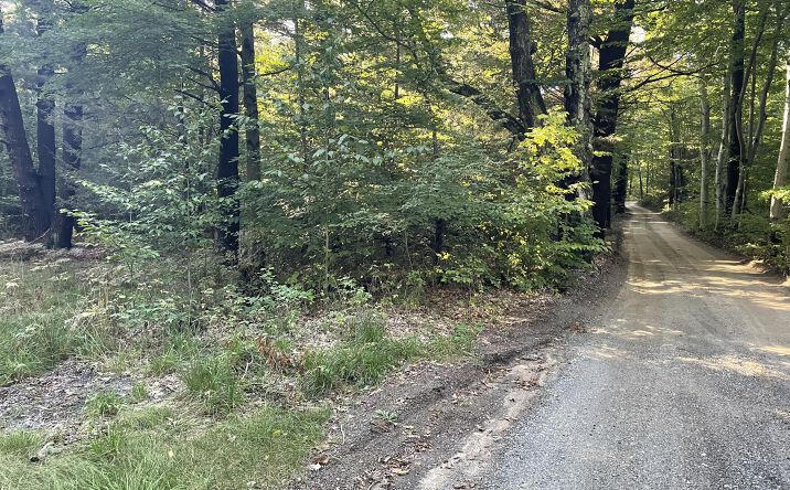 Pictures of Land property located at 10445 W Woodrow Road, Shelby, MI 49455 for sales - image #1