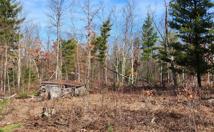 Pictures of Land, Mixed Use property located at 7746 N Woodbridge Road, White Cloud, MI 49349 for sales - image #1