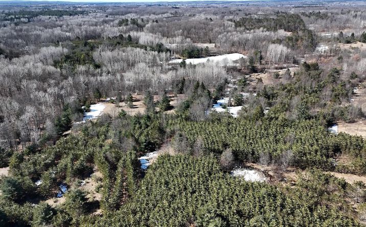 Pictures of Land, Special Purpose property located at V/L 200th Avenue, Tustin, MI 49688 for sales - image #1