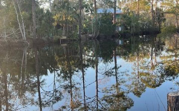 Pictures of Land property located at 80 SE 352nd St, Suwannee, FL 32680 for sales - image #1