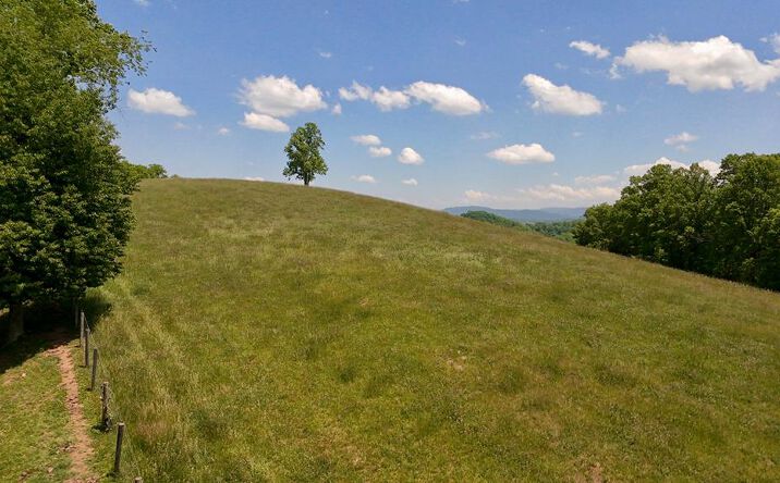 Pictures of Land, Multifamily property located at TBD Dove Tree Ln., Honaker, VA 24260 for sales - image #1