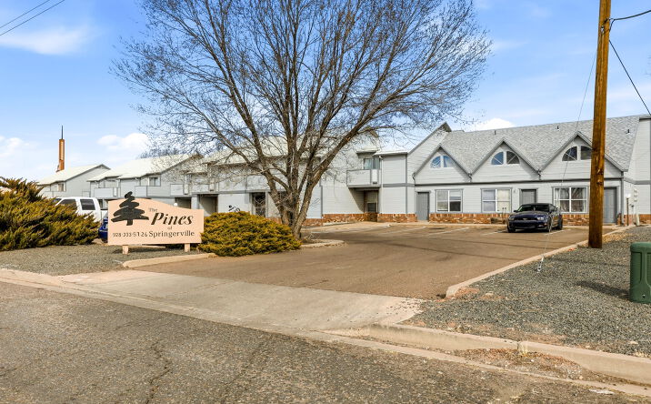 Pictures of Multifamily property located at 44 Aldrice Burk Dr, Springerville, AZ 85938 for sales - image #1