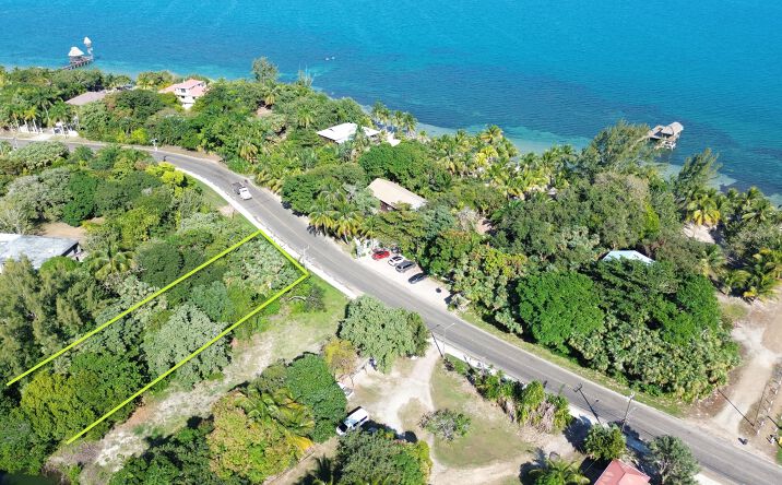 Pictures of Land property located at Maya Beach, Seine Bight, BZ null for sales - image #1
