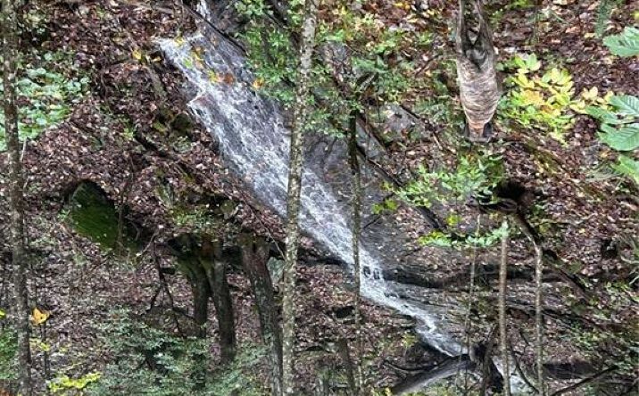 Pictures of Land property located at 1298 Cold Stream Trail, Dawsonville, GA 30534 for sales - image #1