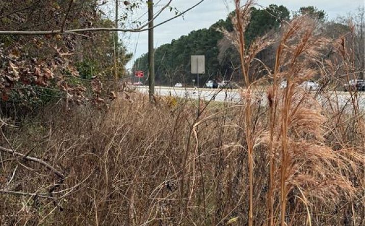 Pictures of Retail, Land property located at 00 State Highway 21, Port Wentworth, GA 31407 for sales - image #1