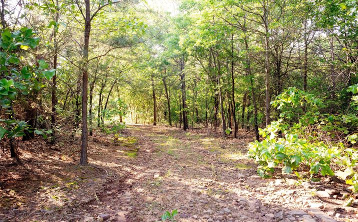 Pictures of Land property located at E 81st Street N, Fort Gibson, OK 74434 for sales - image #1
