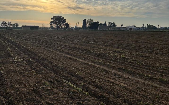 Pictures of Land property located at 9449 S Mccall Avenue, Selma, CA 93662 for sales - image #1
