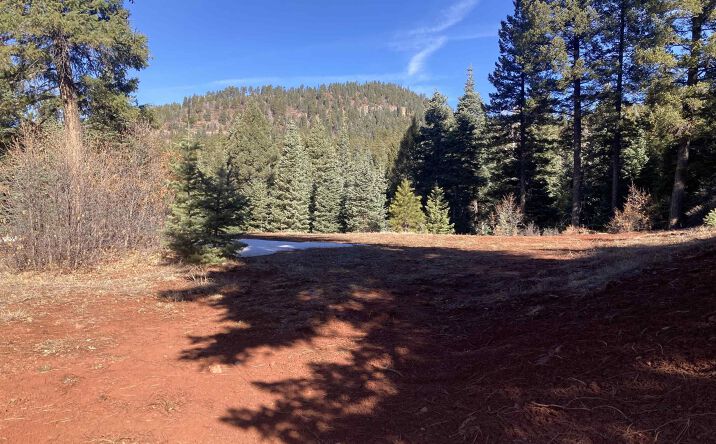 Pictures of Land property located at 9 Red Rock, Chama, NM 87520 for sales - image #1