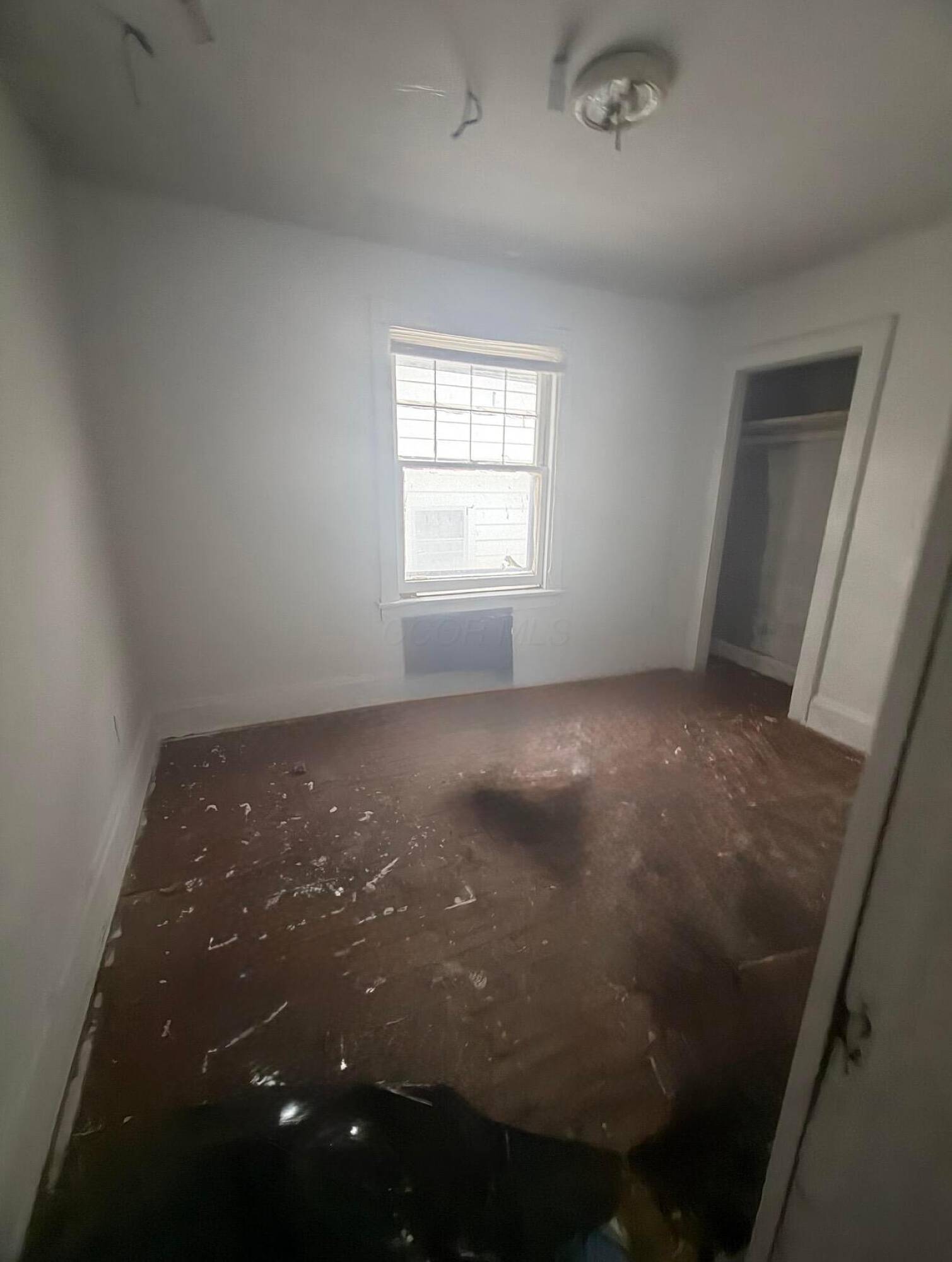 Listing photo #8