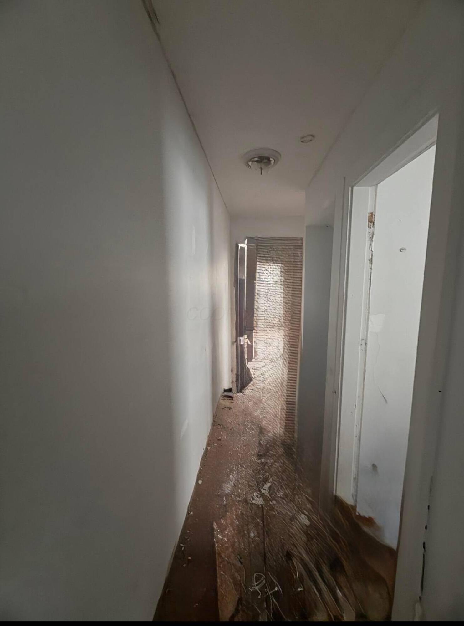 Listing photo #10