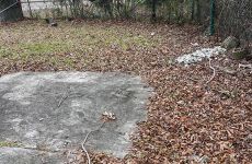 30949858