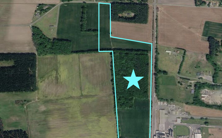 Pictures of Land property located at Old Crow Rd, Delmar, DE 19940 for sales - image #1