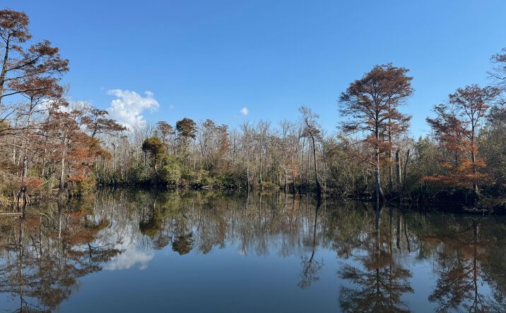 Pictures of Land property located at 2020 Becks Lake Road, Cantonment, FL 32533 for sales - image #1