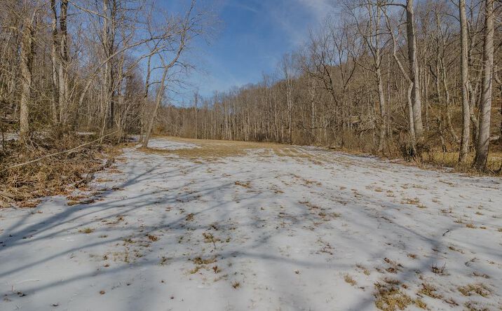 Pictures of Land property located at Willard Creek Lane, Stuart, VA 24171 for sales - image #1