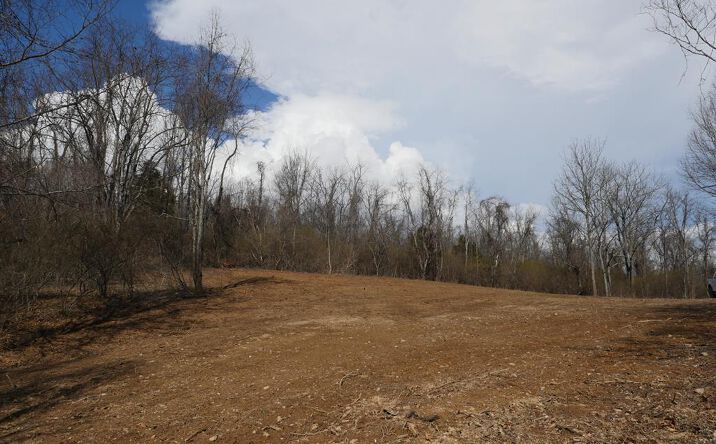 Pictures of Land, Multifamily property located at TBD Chestnut Tower Lane, Max Meadows, VA 24360 for sales - image #1