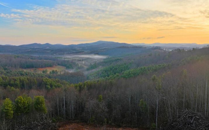 Pictures of Land, Multifamily property located at N Burnt Hill Road, Laurel Springs, NC 28644 for sales - image #1
