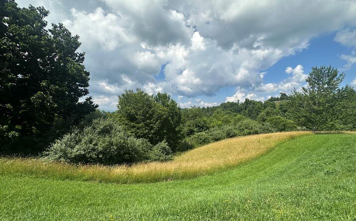 Pictures of Land property located at TBD York Ridge Estates, Mouth of Wilson, VA 24363 for sales - image #1