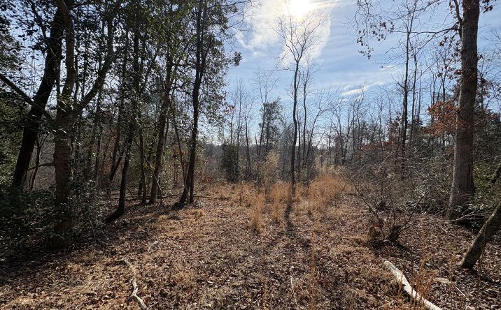 Pictures of Land property located at 120 Shamrock Cir Dr, Hudson, NC 28638 for sales - image #1