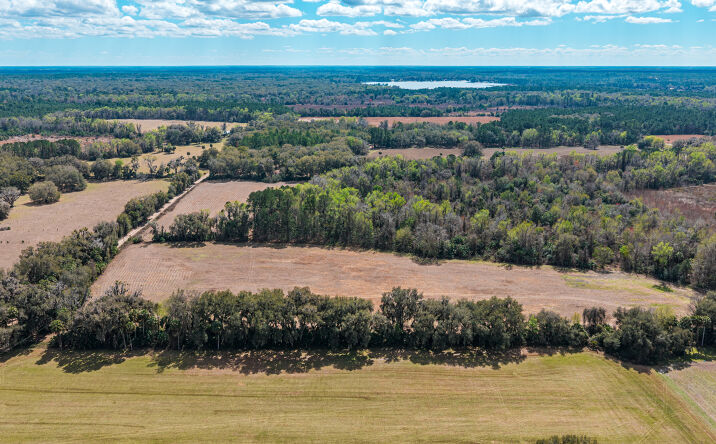 Pictures of Land property located at Tanner School Bus Rd, Florahome, FL 32140 for sales - image #1