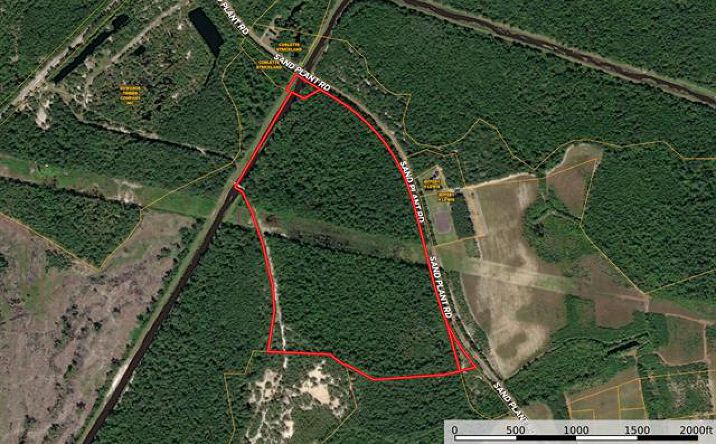 Pictures of Land property located at 0 Sand Plant Rd, Nichols, SC 29581 for sales - image #1
