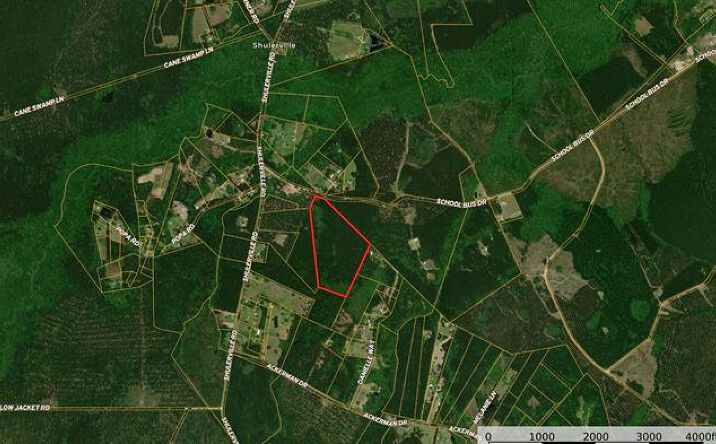 Pictures of Land property located at 0 School Bus Rd, Jamestown, SC 29453 for sales - image #1