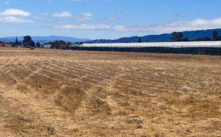 Pictures of Land property located at APN 835-070-018 & APN 835-070-019, Gilroy, CA 95021 for sales - image #1