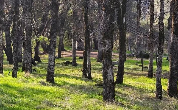 Pictures of Land property located at 13566 Helltown Parcel 2, Chico, CA 95928 for sales - image #1