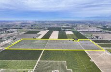 30963523