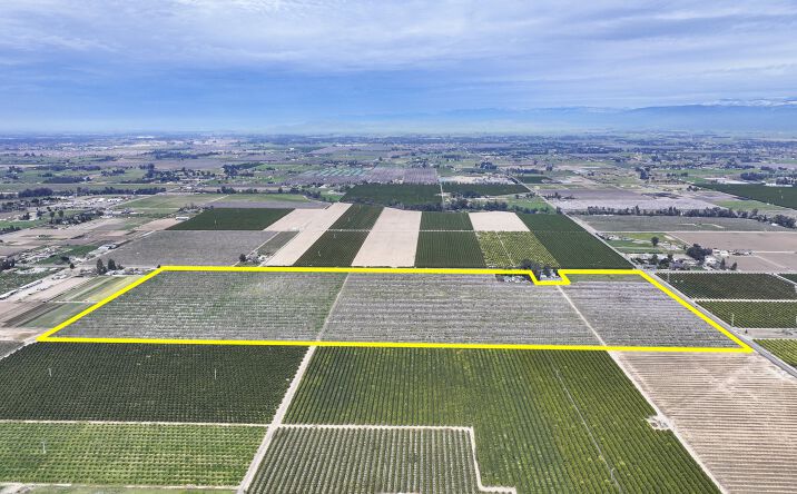 Pictures of Land property located at 10847 East Belmont Avenue, Sanger, CA 93657 for sales - image #1
