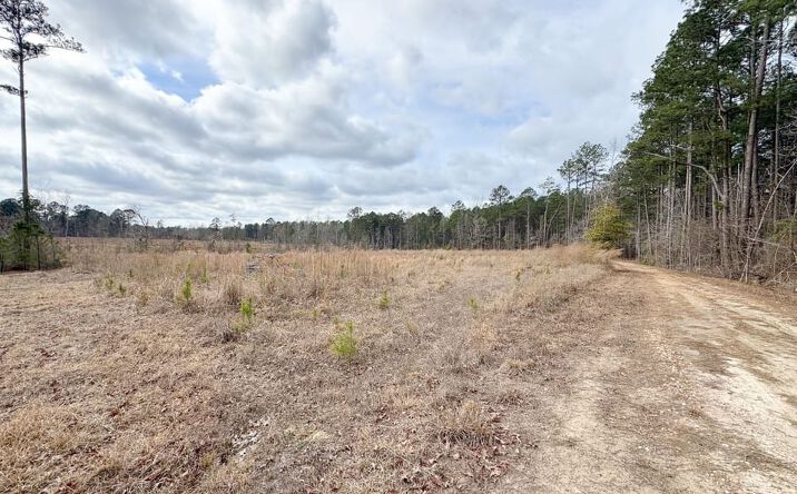Pictures of Land property located at 493 E Columbia, Stephens, AR 71764 for sales - image #1