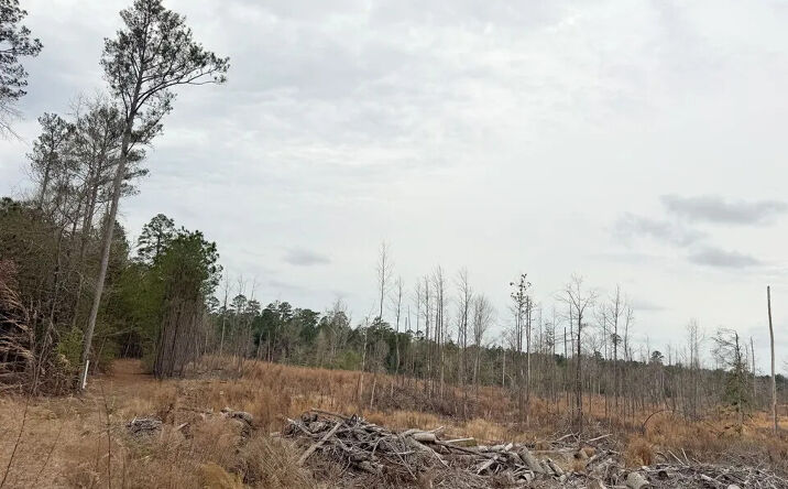 Pictures of Land property located at 00 County Road 53, Camden, AR 71701 for sales - image #1