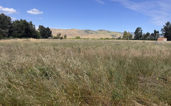 Pictures of Land property located at 10868 Dougherty Ave, Morgan Hill, CA 95037 for sales - image #1