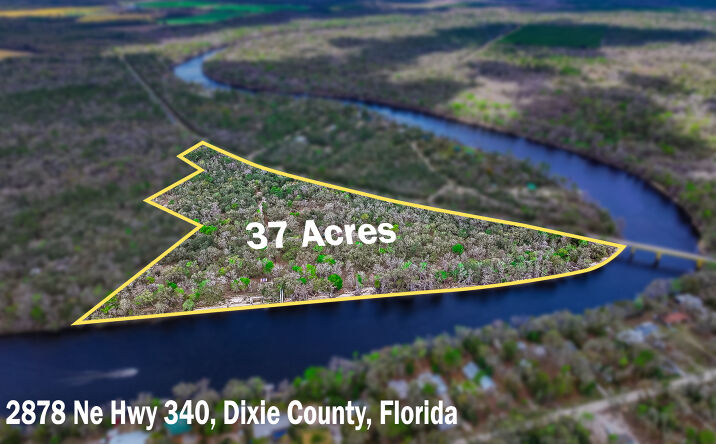 Pictures of Land property located at 2878 Co Rd 340, Branford, FL 32008 for sales - image #1