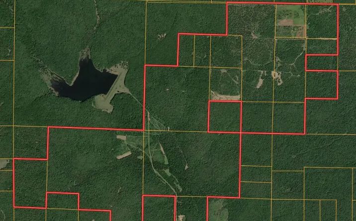 Pictures of Land property located at 698 Hoot Owl Lane, Grandin, MO 63943 for sales - image #1