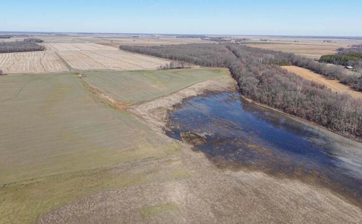 Pictures of Land property located at Brookhill Farm, Augusta, AR 72006 for sales - image #1