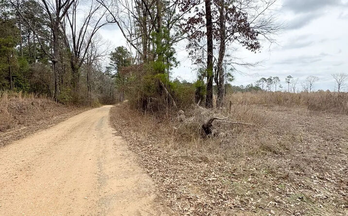 Pictures of Land property located at Ouachita Road 136, Stephens, AR 71764 for sales - image #1