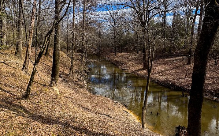 Pictures of Land property located at Two Bayou 80, Camden, AR 71701 for sales - image #1
