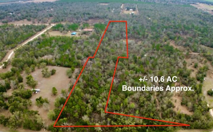 Pictures of Land property located at TBD S CR 53, Lee, FL 32059 for sales - image #1