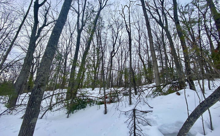 Pictures of Land property located at Fascination Dr, Frederic, MI 49733 for sales - image #1