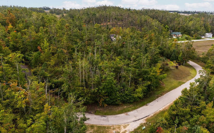 Pictures of Land property located at Gaylord, Gaylord, MI 49735 for sales - image #1