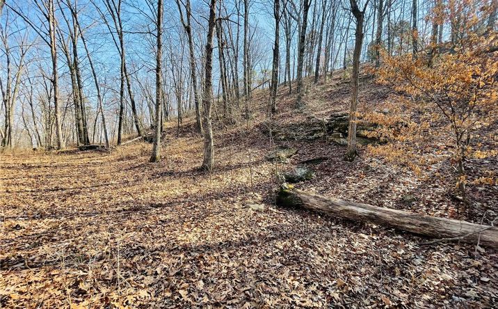 Pictures of Land property located at Cr-3091, Eureka Springs, AR 72632 for sales - image #1