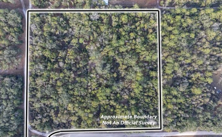 Pictures of Land property located at 123 105th RD, Mcalpin, FL 32062 for sales - image #1