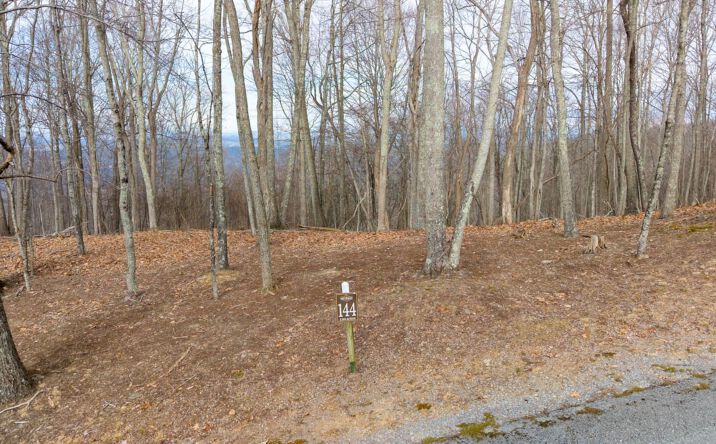 Pictures of Land property located at Lot 144 Withrow Lndg, Caldwell, WV 24925 for sales - image #1