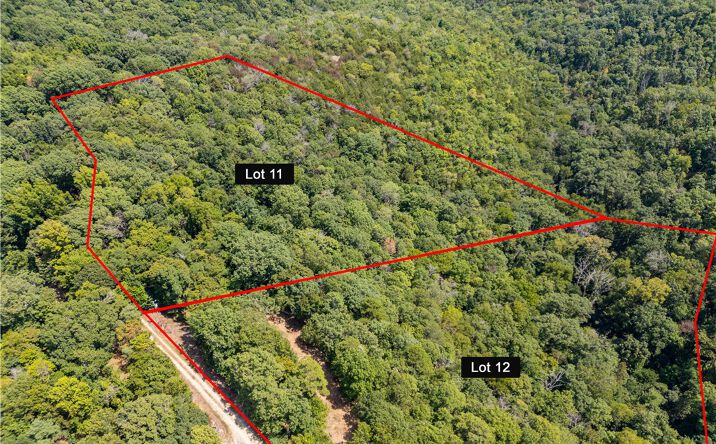 Pictures of Land property located at Cr-206, Buchanan Dam, TX 78609 for sales - image #1