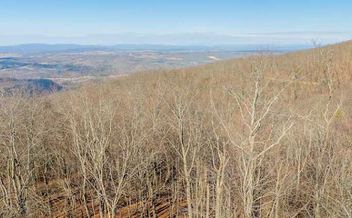Pictures of Land property located at Lot 83 White Rock Trail, Caldwell, WV 24925 for sales - image #1