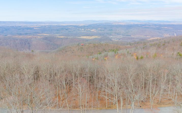 Pictures of Land property located at Lot 81 White Rock Trail, Caldwell, WV 24925 for sales - image #1