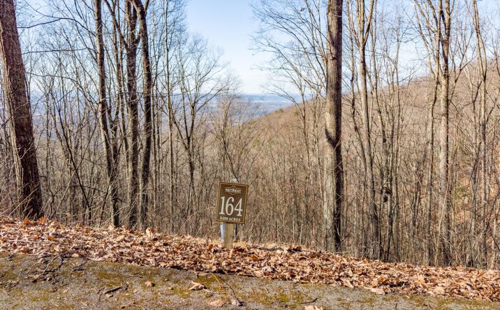 Pictures of Land property located at Lot 164 Cottage Row, Caldwell, WV 24925 for sales - image #1