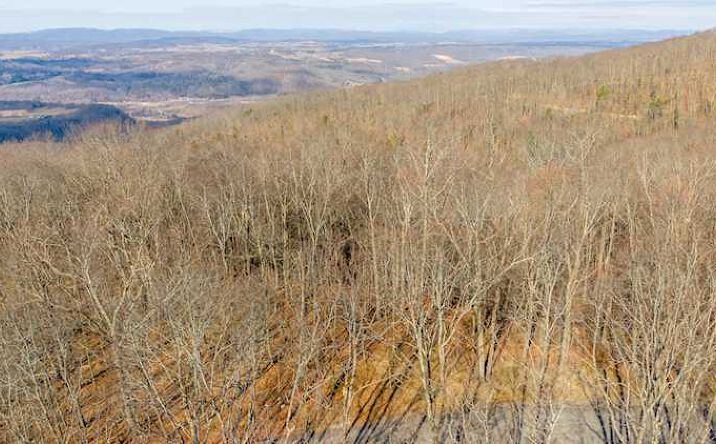 Pictures of Land property located at Lot 19 Horizon Parkway, Caldwell, WV 24925 for sales - image #1